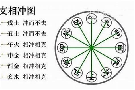 乙辛沖|八字乙辛冲详解(乙辛相冲对命运的影响)